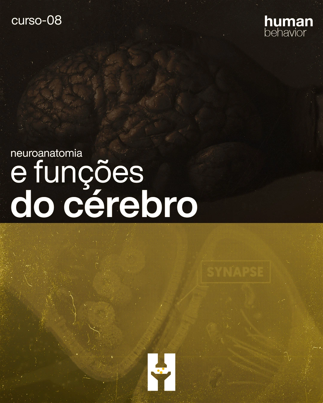 CURSO-008-HUMAN-BEHAVIOR