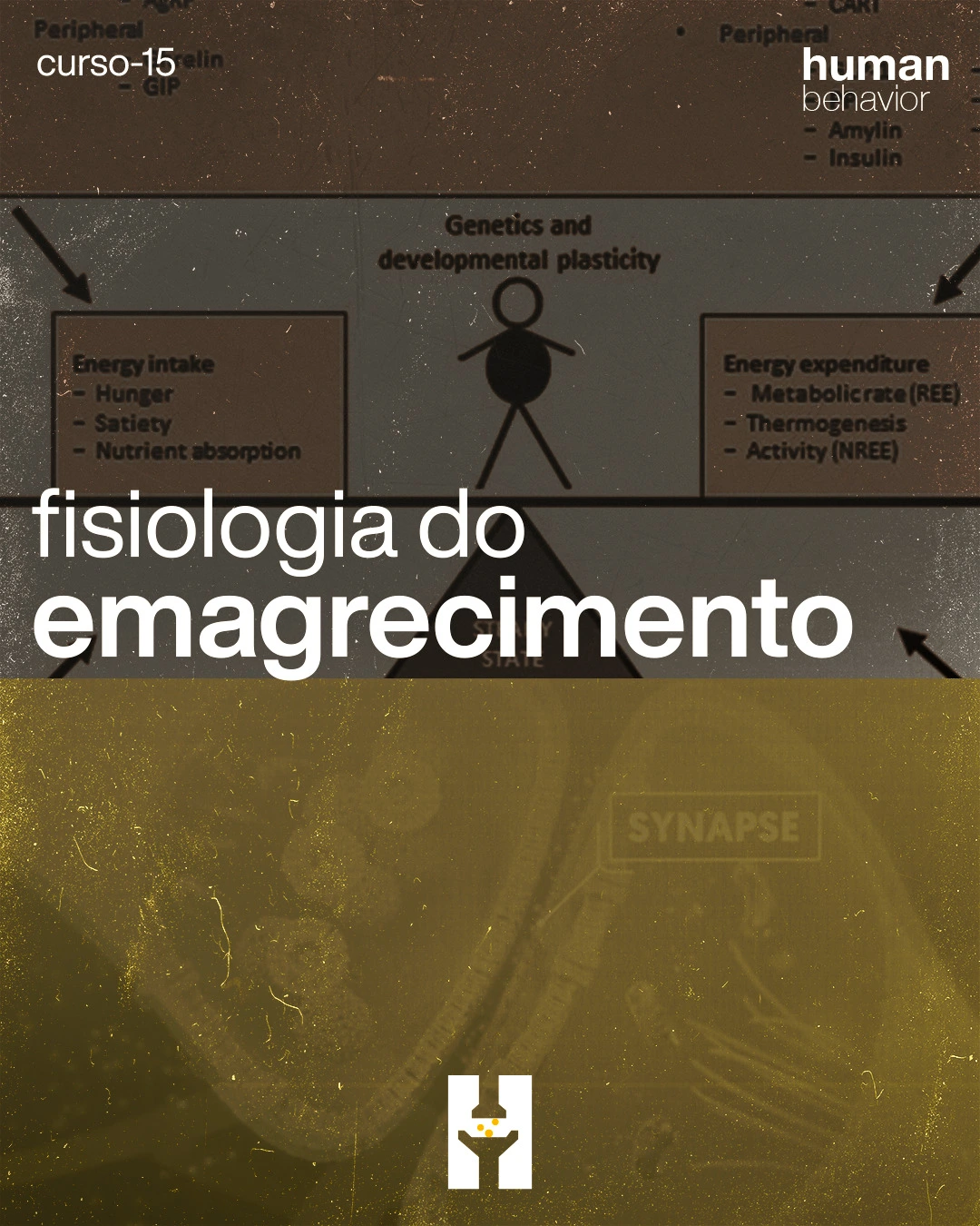 CURSO-015-HUMAN-BEHAVIOR